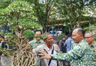 Sekdaprov Kepri saat Buka Pameran dan Kontes Bonsai Nasional