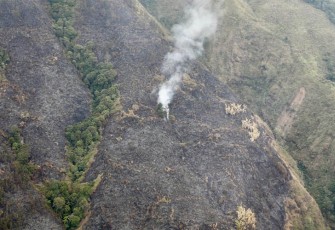 Karhutla di Gunung Arjuno, Pasuruan, Jawa Timur.
