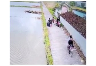 Pria Perampas Handphone Anak di Jalan Desa Yosowinangun Terekam CCTV