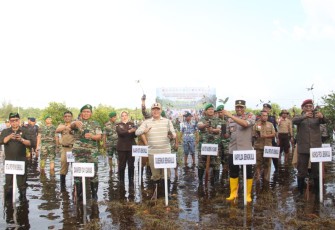 Gubernur Rohidin bersama TNI/Polri Tanam Mangrove Serentak