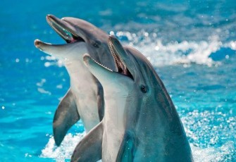 Foto: Getty Images/alexxx1981