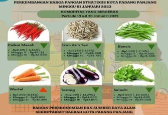Perkembangan harga pangan strategis Kota Padang Panjang Minggu III 2023.