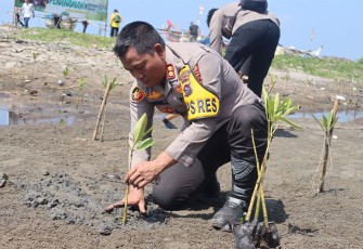 Kapolres Pasaman Barat AKBP Agung Basuki saat tanam pohon di areal lokasi abrasi pantai