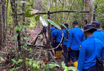 Ditpam BP Batam saat bertugas melakukan pengamanan kegiatan ilegal di hutan areal Daerah Tangkapan Air (DTA).