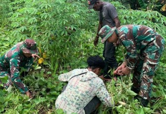 Wujudkan Ketahanan Pangan