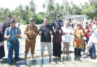 Pelepasan Bibit Penyu