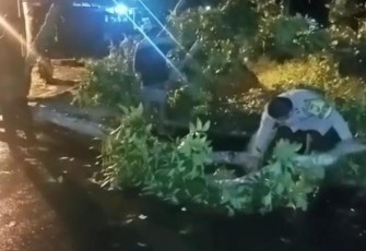 Anggota Polsek Muara Bangkahulu saat Dibantu Warga Evakuasi Pohon Tumbang