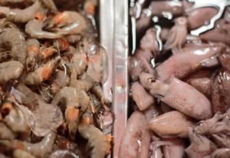 Pasar Tradisional Sebagai Pembuka Lapangan Pekerjaan