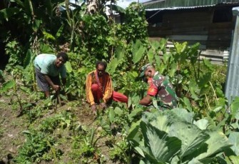 Babinsa 1714-01/Mulia saat Dampingi Petani Berkebun