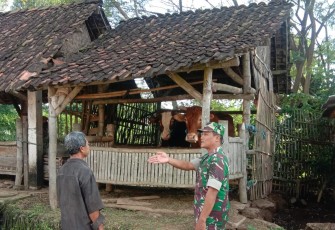 Babinsa Desa Gondosuli Serda Puspito anggota Koramil Tipe B 0807/14 Gondang melaksanakan komunikasi sosial dan pemantauan hewan ternak sapi milik warga binaan di Desa Gondosuli Kecamatan Gondang Kabupaten Tulungagung Jawa Timur, Selasa (02/01/2024)