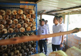 UMKM Budidaya Jamur Tiram
