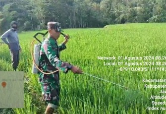 Babinsa 0801/08 Tulakan Bantu Petani Penyemprotam Hama