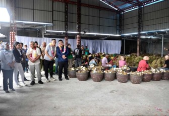 Deputi Bidang UKM KemenKopUKM Hanung Harimba Rachman saat berdiskusi dengan para pelaku usaha durian di Parigi Moutong, Sulawesi Tengah, Rabu (17/01).