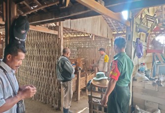 Bintara Pembina Desa (Babinsa) Koramil 04/Padas Kodim 0805/Ngawi Sertu Wijianto melaksanakan pendampingan vaksinasi Penyakit Mulut dan Kuku (PMK) pada hewan ternak sapi tepatnya di Desa Sambiroto, Kecamatan Padas, Kabupaten Ngawi, Senin (22/01/2024)