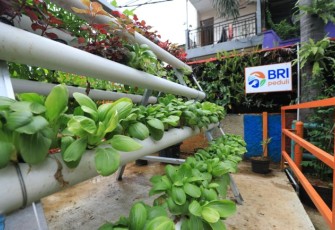 Kampung Palm Eco Green Village Malang