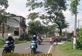Jalan Raya Curungrejo Kepanjen