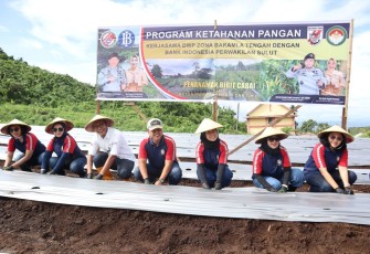 Zona Bakamla Tengah Tanam 10.000 Bibit Cabai