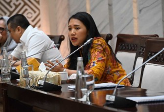 Anggota Komisi XI DPR RI Puteri Komarudin