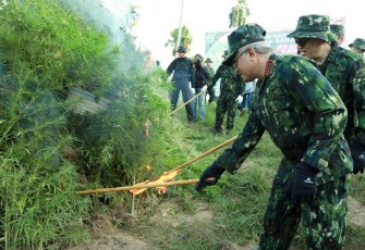 Kepala BNN RI saat Pimpin Pemusnahan Lahan Ganja di Aceh Utara, Selasa (23/1).