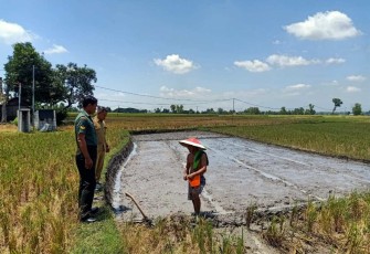 Bantu Petani Siapkan Lahan Penyemaian Bibit Padi