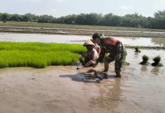 Bantu Petani Siapkan Lahan Penyemaian Bibit Padi
