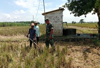 Pendampingan petani wilayah desa binaan 