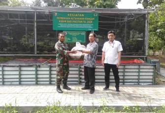 Budidaya ikan lele Kodim Pacitan 