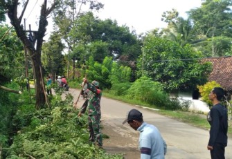 Penebangan pohon di wilayah desa binaan 