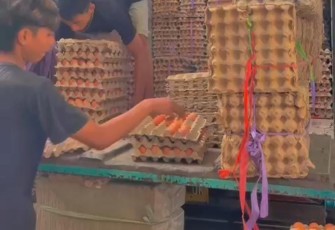 Petani Telur Saat Merapikan Telur Siap Jual