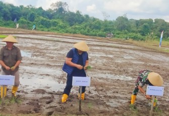 Bupati Bintan Hadiri Gerakan Tanam Padi dan Penyerahan Bantuan Pupuk 