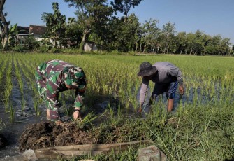 Pendampingan petani di wilayah desa binaan 