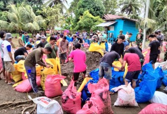Gotong-royong bangun tanggul abrasi di desa Pammesakang 