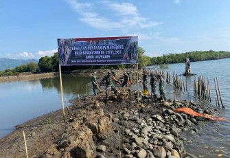 Penanaman pohon mangrove satgas TMMD bersama masyarakat di pantai Sipa Desa Pammesakang 