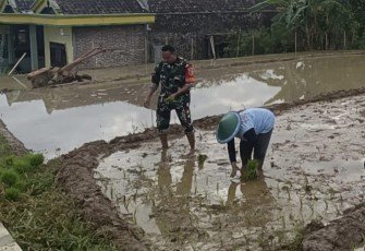 Tanam padi bersama warga binaan