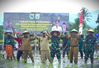 Pangdam Kasuari Mayjen TNI Haryanto saat tanam padi perdana 