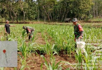 Bantu petani wilayah desa binaan 