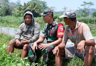 Pendampingan petani wilayah desa binaan 