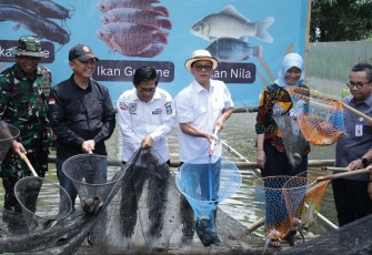 Mendes PDT Yandri Susanto panen ikan di BUMDes Desa Kopo, Kabupaten Serang, Sabtu (23/11)