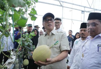 Mendes PDT Yandri Susanto panen melon di desa Sambilawang, Serang