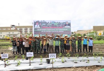Gerakan tanam cabai Pemda Sorong