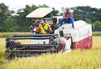Panen raya padi di desa Puncang Anom, Kabupaten Madiun, Rabu (18/12)