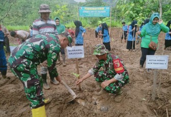 Penanaman pohon di wilayah desa binaan