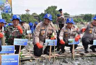 Penanaman mangrove Ditpolarud Polda Jatim 