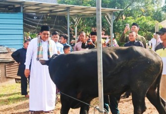 Bupati Roby didampingi Wakil Bupati Bintan dan rombongan menyaksikan prosesi penyembelihan hewan qurban.