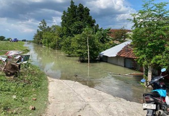 Kodisi pasca banjir di Kabupaten Demak, Provinsi Jawa Tengah, pada Kamis (8/2).
