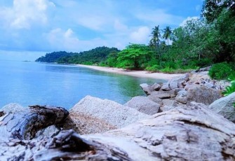 Pemprov Kepri Tegaskan Pulau Pekajang Sah Milik Kepri Berdasarkan Aturan Hukum 