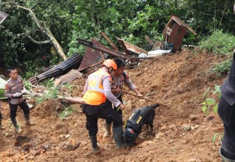 Tim K-9 Polda Jawa Tengah saat mencari jenazah korban longsor Pekalongan