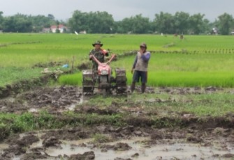 Babinsa Desa Sumberejo saat lakukan Pendampingan Penyiapan Lahan