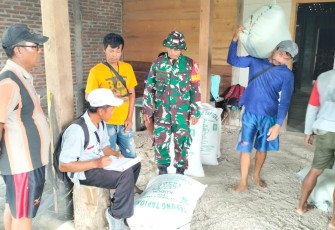 Sertu Mariono dan PPL Laksanakan Sergap 12 Ton Gabah di Desa Pandean