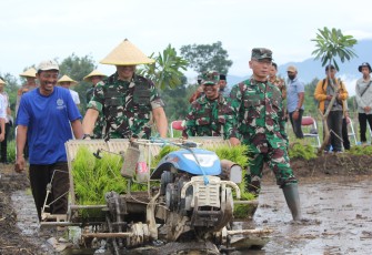 Dandim Tulungagung Bersama Forkopimda Gelar Demplot Padi di Ngantru